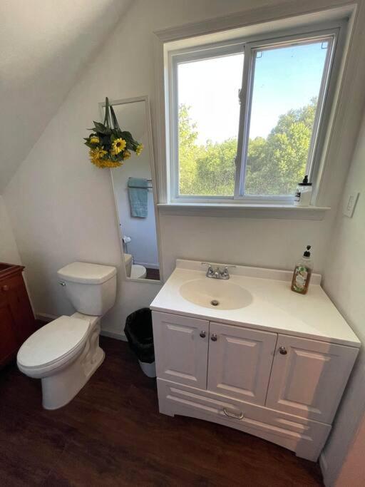 Eden Farm: Private Studio Minutes From Salisbury Esterno foto